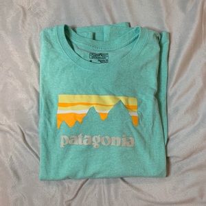 Patagonia original tee